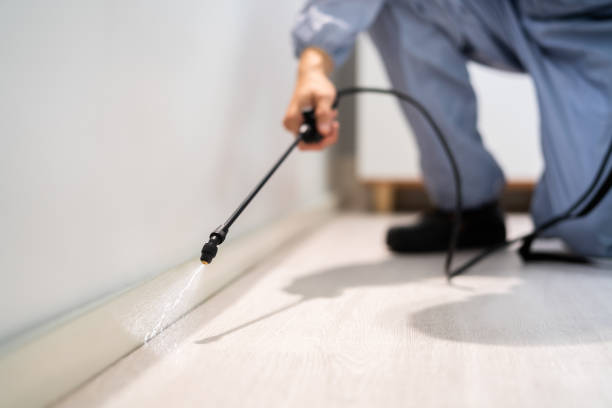 Pest Control Cost in Burley, WA